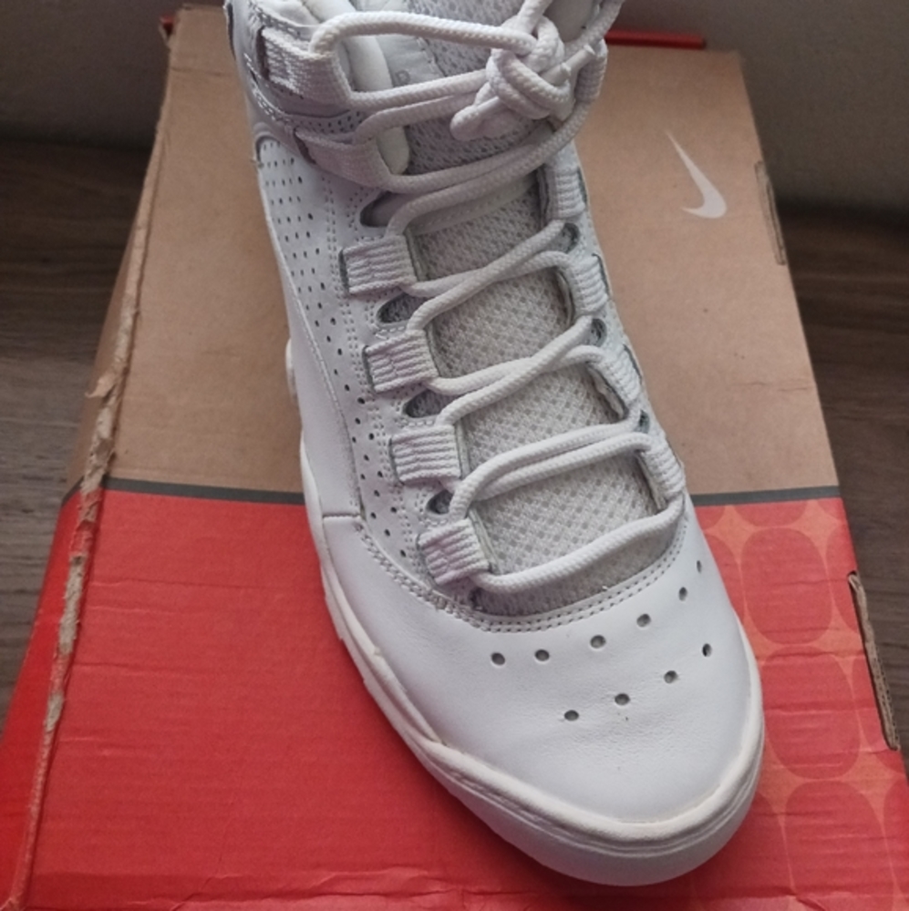 Classic Nike Air Darwin HI